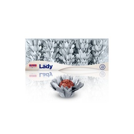 Forminha Lady 25un.