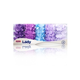 Forminha Lady Aquarela 25un.