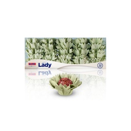 Forminha Lady 25un.