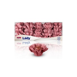 Forminha Lady 25un.