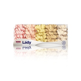 Forminha Lady Aquarela 25un.