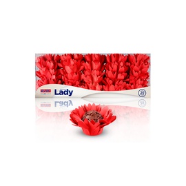 Forminha Lady 25un.