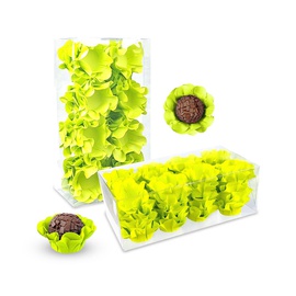 Forminha Camélia 40un.