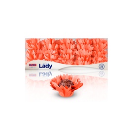 Forminha Lady 25un.