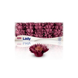Forminha Lady 25 un.