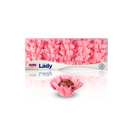 Forminha Lady 25un.