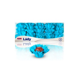 Forminha Lady 25un.