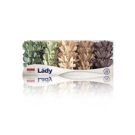 Forminha Lady Aquarela 25un.