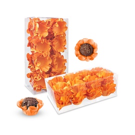 Forminha Camélia 40un.