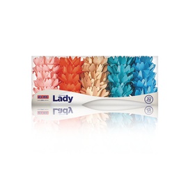 Forminha Lady Aquarela 25un.
