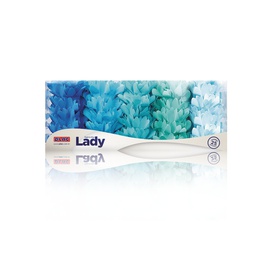Forminha Lady Aquarela 25un.
