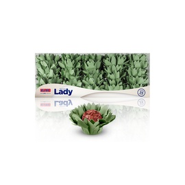 Forminha Lady 25un.