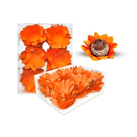 Forminha Veneza 40un.