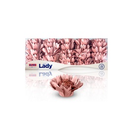 Forminha Lady 25un.