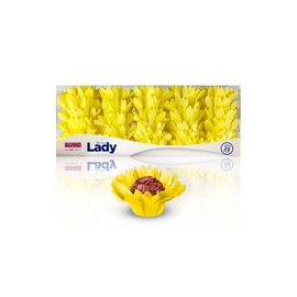 Forminha Lady 25un.
