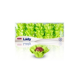 Forminha Lady 25un.